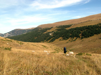 Similar image 657310