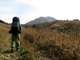 Similar image 657311