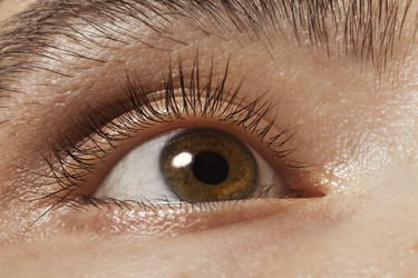 Similar image 657315