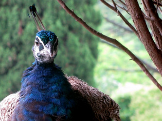 Similar image 657330