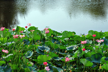 Similar image 657388