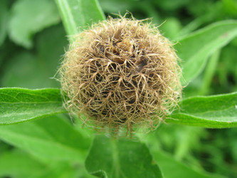 Similar image 657416