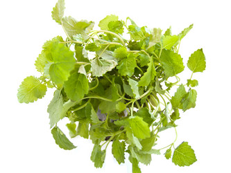 Similar image 657472