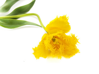 Similar image 657482