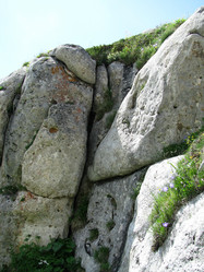 Similar image 657507