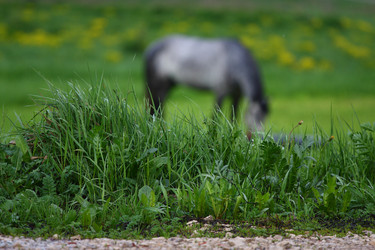 Similar image 657531