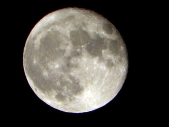 Similar image 657534