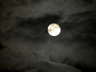 Similar image 657535