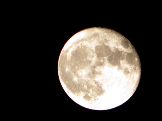 Similar image 657536