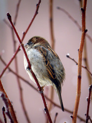 Similar image 657539