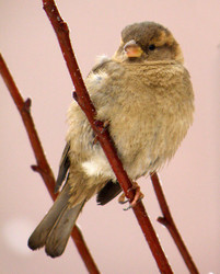 Similar image 657540