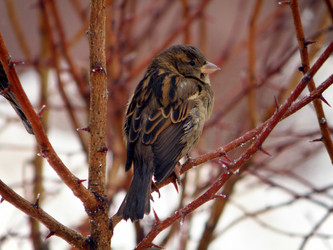 Similar image 657542