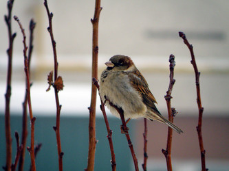 Similar image 657543