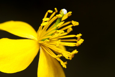 Similar image 657563