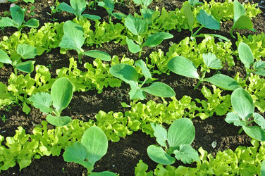 Similar image 657569