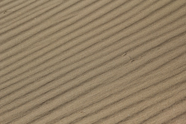 Similar image 657573