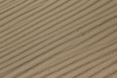 Similar image 657574