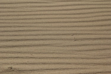 Similar image 657575