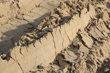 Similar image 657583