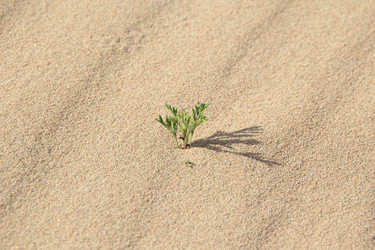 Similar image 657585