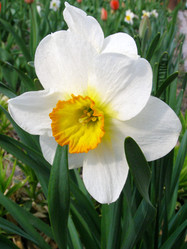 Similar image 657601