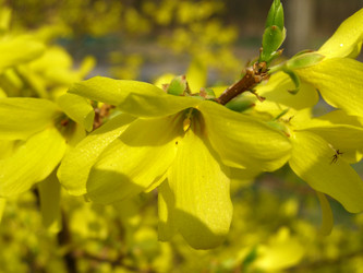 Similar image 657603