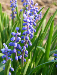 Similar image 657604