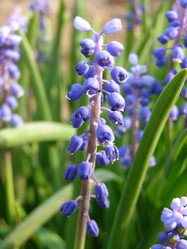 Similar image 657605