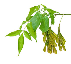 Similar image 657614