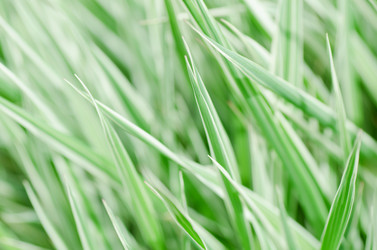 Similar image 657774