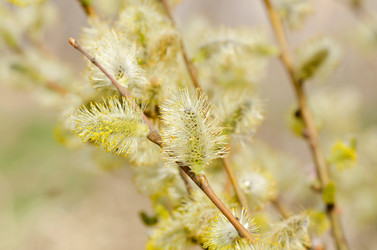 Similar image 657775