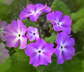 Similar image 657783