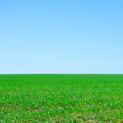 Similar image 657795