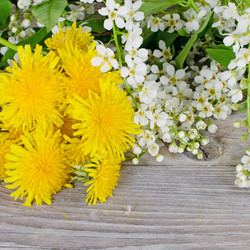 Similar image 657799