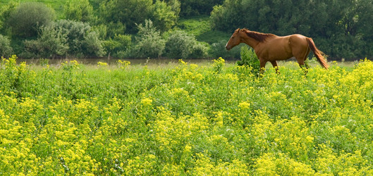 Similar image 657800