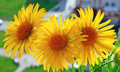 Similar image 657813