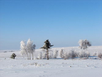 Similar image 657815