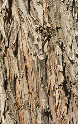 Similar image 657830