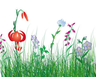 Similar image 657832