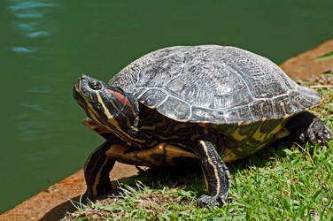 Similar image 657906