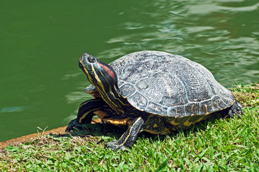 Similar image 657908