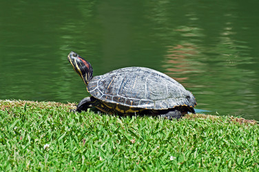 Similar image 657909