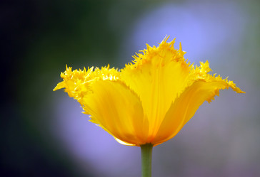 Similar image 657911