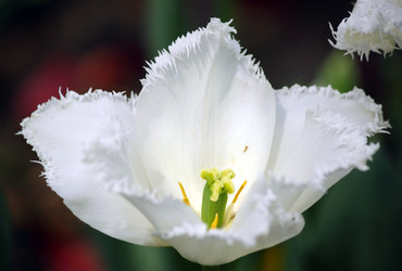 Similar image 657917