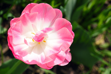 Similar image 657921