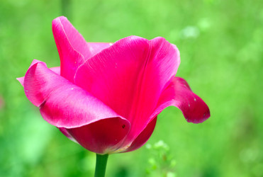 Similar image 657923