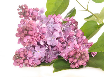 Similar image 657927