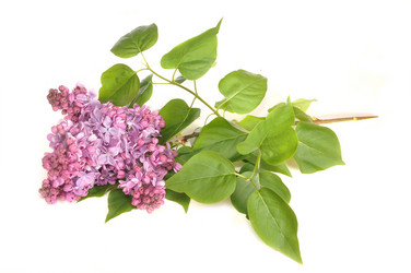 Similar image 657928