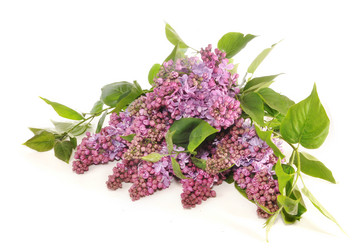 Similar image 657929