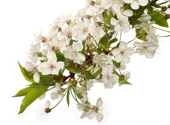 Similar image 657933